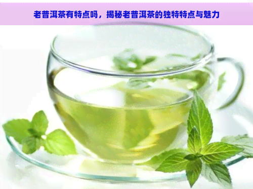 老普洱茶有特点吗，揭秘老普洱茶的独特特点与魅力