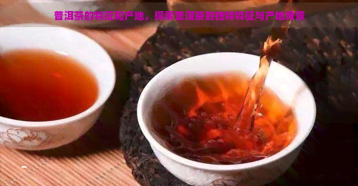 普洱茶的特征和产地，探索普洱茶的独特特征与产地背景