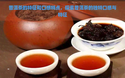 普洱茶的特征和口感特点，探索普洱茶的独特口感与特征