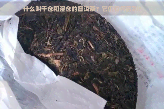 什么叫干仓和湿仓的普洱茶？它们有何区别？