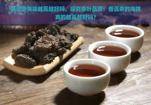 普洱茶海拔越高越好吗，探究茶叶品质：普洱茶的海拔真的越高越好吗？