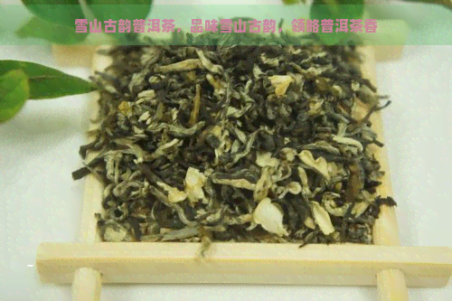 雪山古韵普洱茶，品味雪山古韵，领略普洱茶香