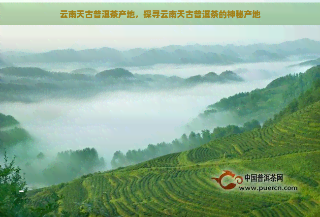 云南天古普洱茶产地，探寻云南天古普洱茶的神秘产地