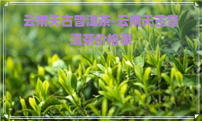 云南天古普洱茶-云南天古普洱茶价格表