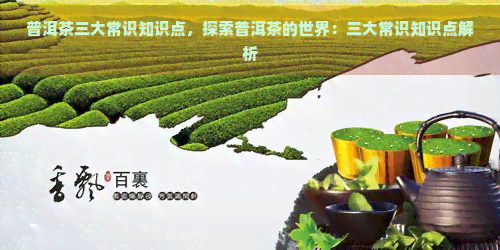 普洱茶三大常识知识点，探索普洱茶的世界：三大常识知识点解析