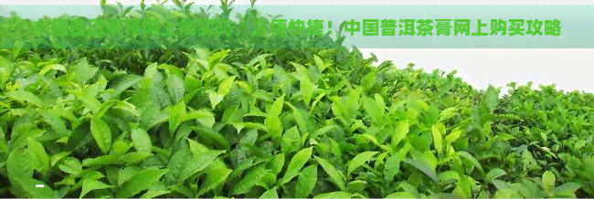 中国普洱茶膏网上能买吗，方便快捷！中国普洱茶膏网上购买攻略