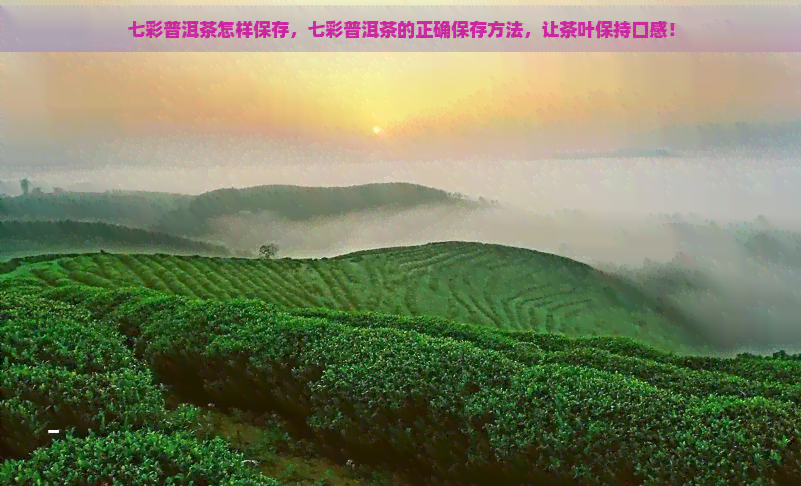 七彩普洱茶怎样保存，七彩普洱茶的正确保存方法，让茶叶保持口感！