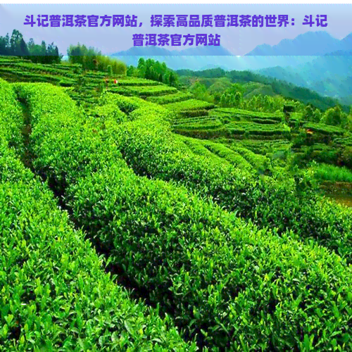 斗记普洱茶官方网站，探索高品质普洱茶的世界：斗记普洱茶官方网站