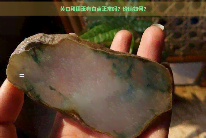 黄口和田玉有白点正常吗？价值如何？