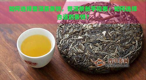 如何选择普洱茶茶饼，普洱茶新手指南：如何选择合适的茶饼？