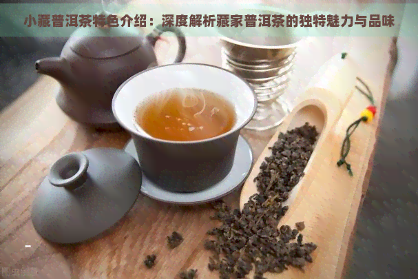 小藏普洱茶特色介绍：深度解析藏家普洱茶的独特魅力与品味