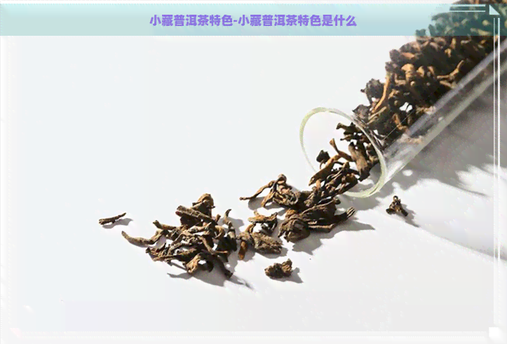 小藏普洱茶特色-小藏普洱茶特色是什么