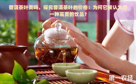 普洱茶叶贵吗，探究普洱茶叶的价格：为何它被认为是一种高贵的饮品？