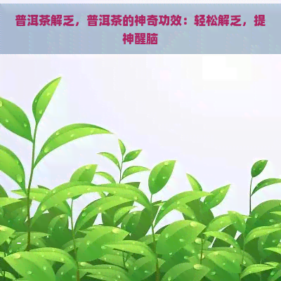 普洱茶解乏，普洱茶的神奇功效：轻松解乏，提神醒脑