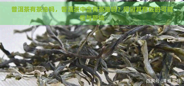 普洱茶有茶油吗，普洱茶中含有茶油吗？探讨其存在的可能性与影响