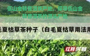 佤山金砖普洱茶产地，探寻佤山金砖普洱茶的源头产地