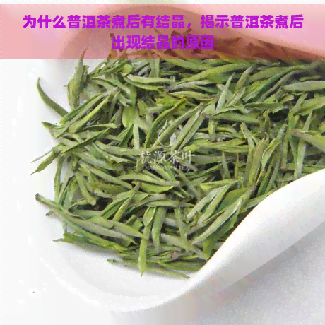 为什么普洱茶煮后有结晶，揭示普洱茶煮后出现结晶的原因