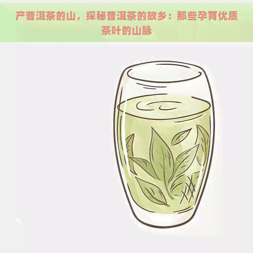 产普洱茶的山，探秘普洱茶的故乡：那些孕育优质茶叶的山脉