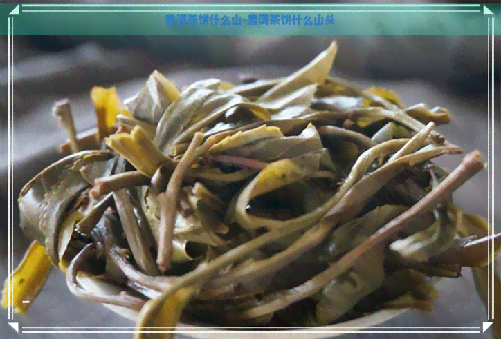 普洱茶饼什么山-普洱茶饼什么山头