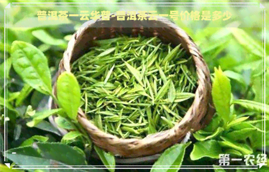 普洱茶一云华普-普洱茶云一号价格是多少