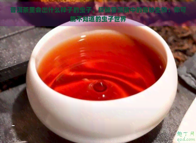 普洱茶里会出什么样子的虫子，探秘普洱茶中的奇妙生物：你可能不知道的虫子世界