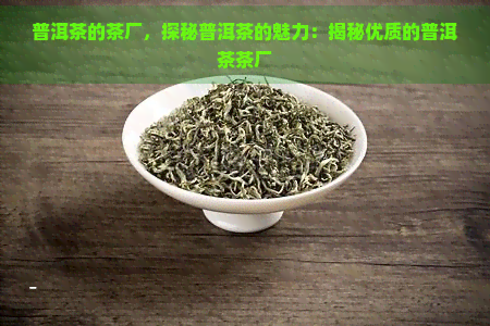 普洱茶的茶厂，探秘普洱茶的魅力：揭秘优质的普洱茶茶厂