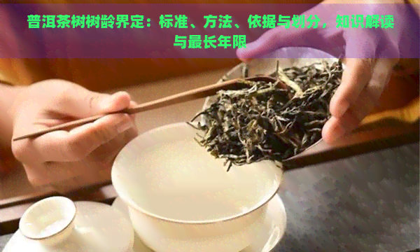 普洱茶树树龄界定：标准、方法、依据与划分，知识解读与最长年限