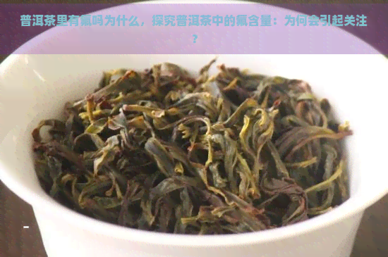 普洱茶里有氟吗为什么，探究普洱茶中的氟含量：为何会引起关注？