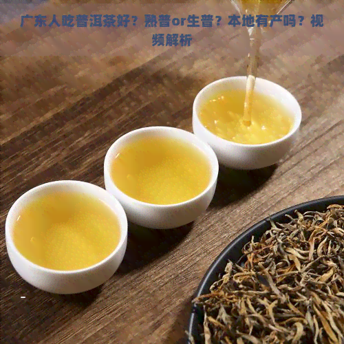 广东人吃普洱茶好？熟普or生普？本地有产吗？视频解析