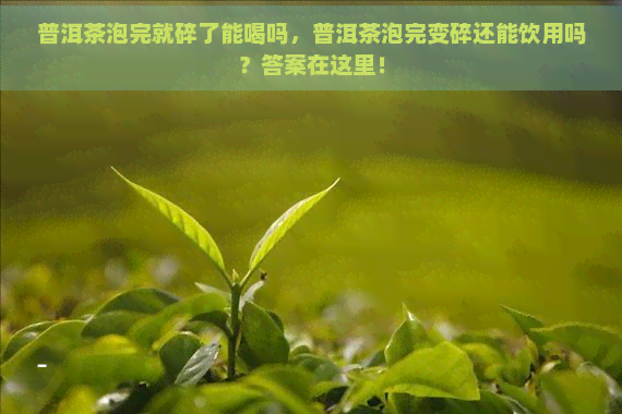 普洱茶泡完就碎了能喝吗，普洱茶泡完变碎还能饮用吗？答案在这里！