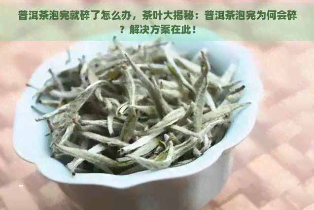 普洱茶泡完就碎了怎么办，茶叶大揭秘：普洱茶泡完为何会碎？解决方案在此！