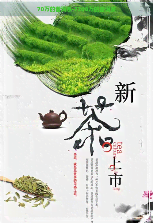 70万的普洱茶-7200万的普洱茶