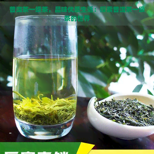 普洱茶一级茶，品味优质生活：探索普洱茶一级茶的世界