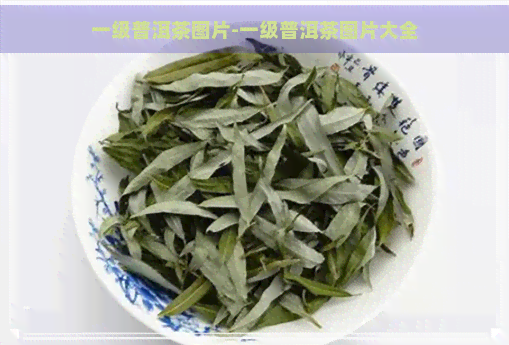 一级普洱茶图片-一级普洱茶图片大全