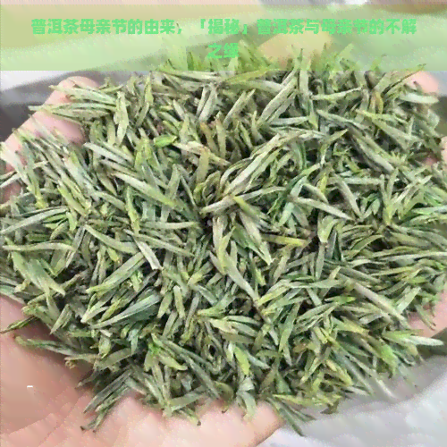 普洱茶母亲节的由来，「揭秘」普洱茶与母亲节的不解之缘