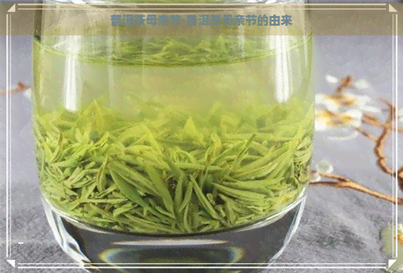 普洱茶母亲节-普洱茶母亲节的由来