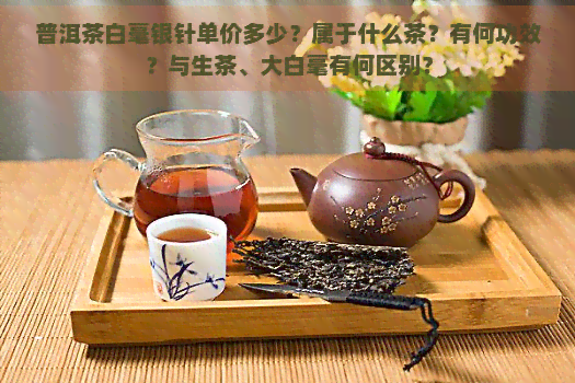 普洱茶白毫银针单价多少？属于什么茶？有何功效？与生茶、大白毫有何区别？