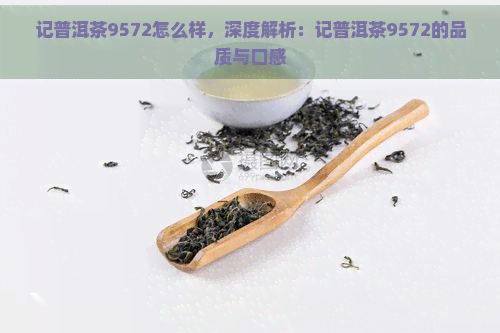 记普洱茶9572怎么样，深度解析：记普洱茶9572的品质与口感