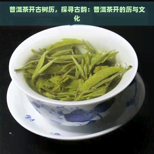 普洱茶开古树历，探寻古韵：普洱茶开的历与文化