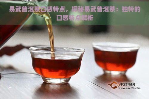 易武普洱茶口感特点，探秘易武普洱茶：独特的口感特点解析