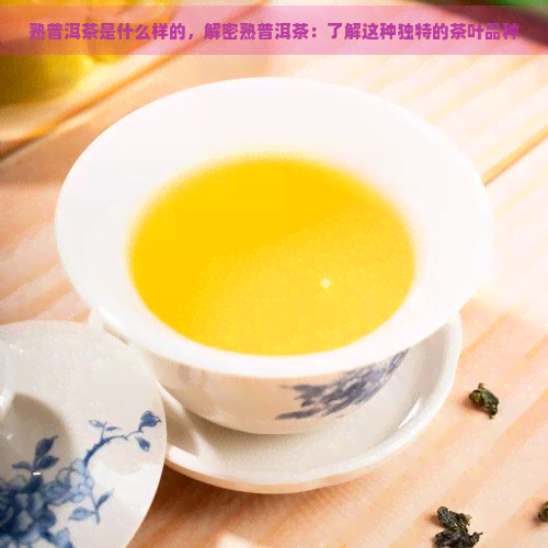 熟普洱茶是什么样的，解密熟普洱茶：了解这种独特的茶叶品种