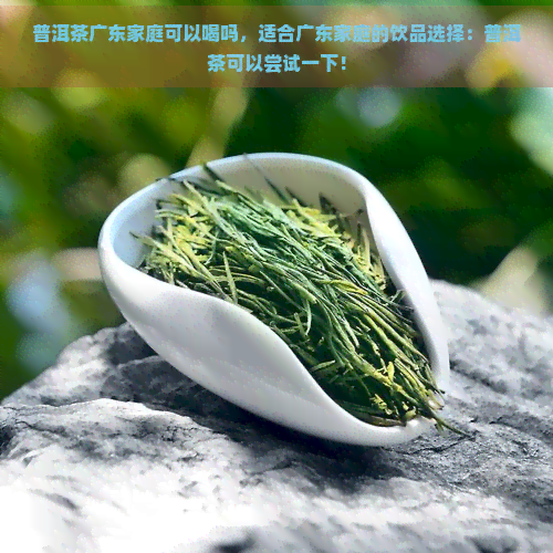 普洱茶广东家庭可以喝吗，适合广东家庭的饮品选择：普洱茶可以尝试一下！