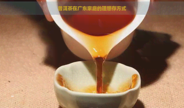 普洱茶在广东家庭的理想存方式