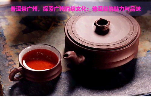 普洱茶广州，探索广州的茶文化：普洱茶的魅力与品味