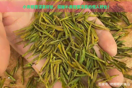 小青柑普洱茶好处，探秘小青柑普洱茶的惊人好处！