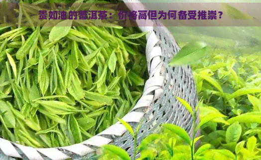 贵如油的普洱茶：价格高但为何备受推崇？