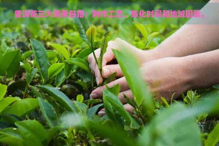 普洱茶三大要素包括：制作工艺、陈化时间和地域因素。