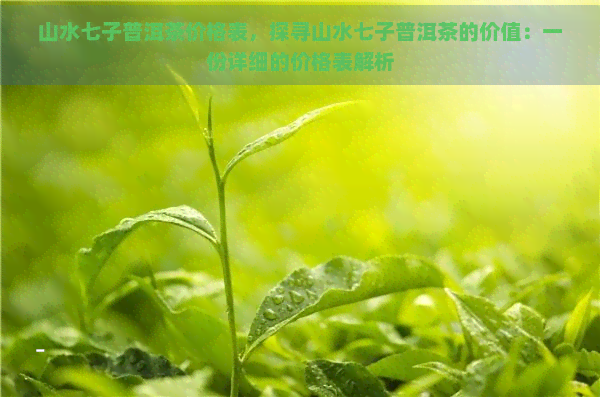 山水七子普洱茶价格表，探寻山水七子普洱茶的价值：一份详细的价格表解析