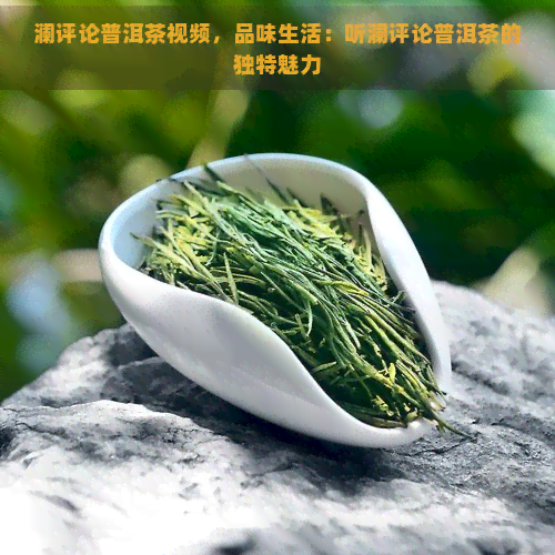 澜评论普洱茶视频，品味生活：听澜评论普洱茶的独特魅力