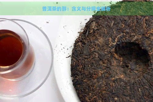 普洱茶的醇：含义与分级全解析